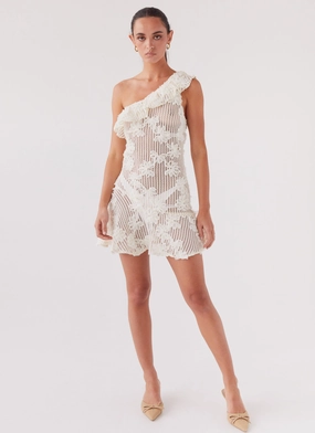 Juliette Embroidered Mini Dress - Ivory Tea Luxurious Feel